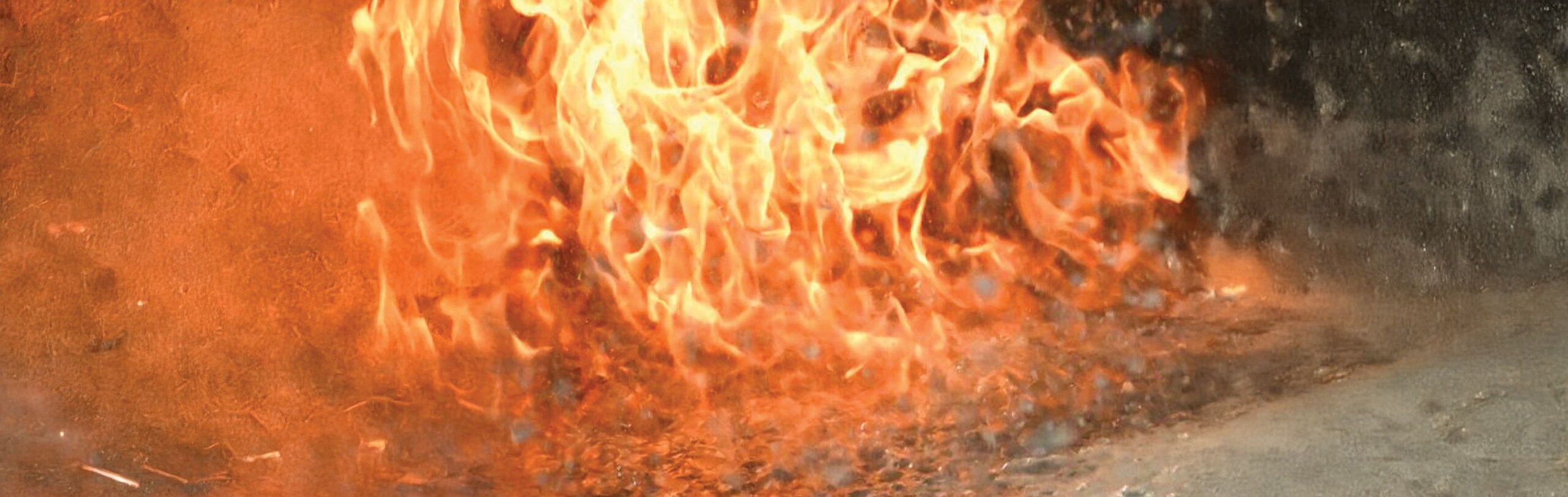 ANSUL Fire Suppression technologies