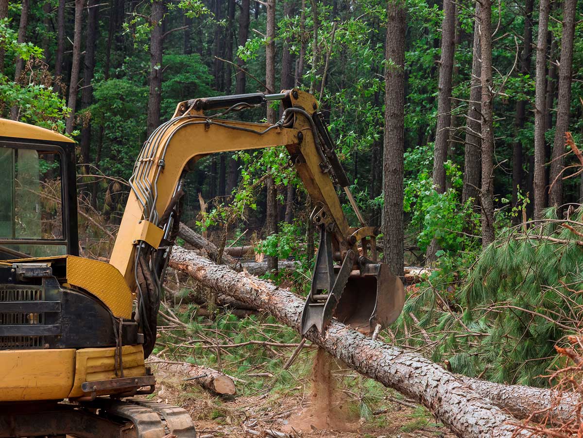 Industrial-vehicle-moving-a-log